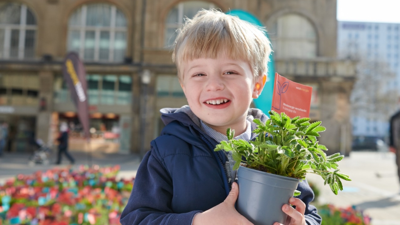 Ein kleiner Junge, der eine Topfpflanze in der hand hat.